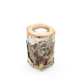 Tree Branch Candle Holder