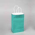 Small Gift Bags - Aqua