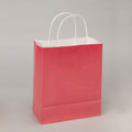 Large Gift Bags - Coral