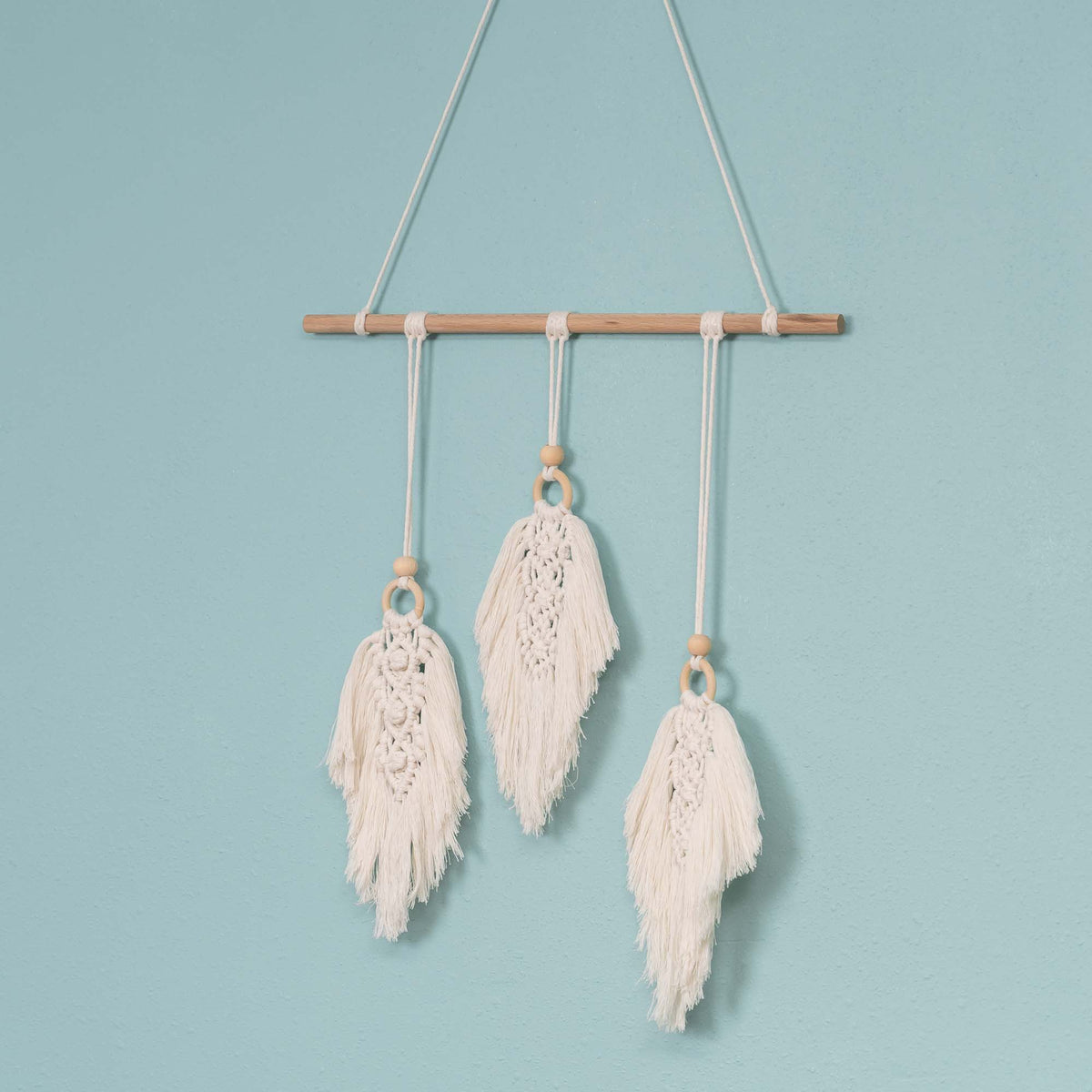 Macrame Feather Wall Hanging