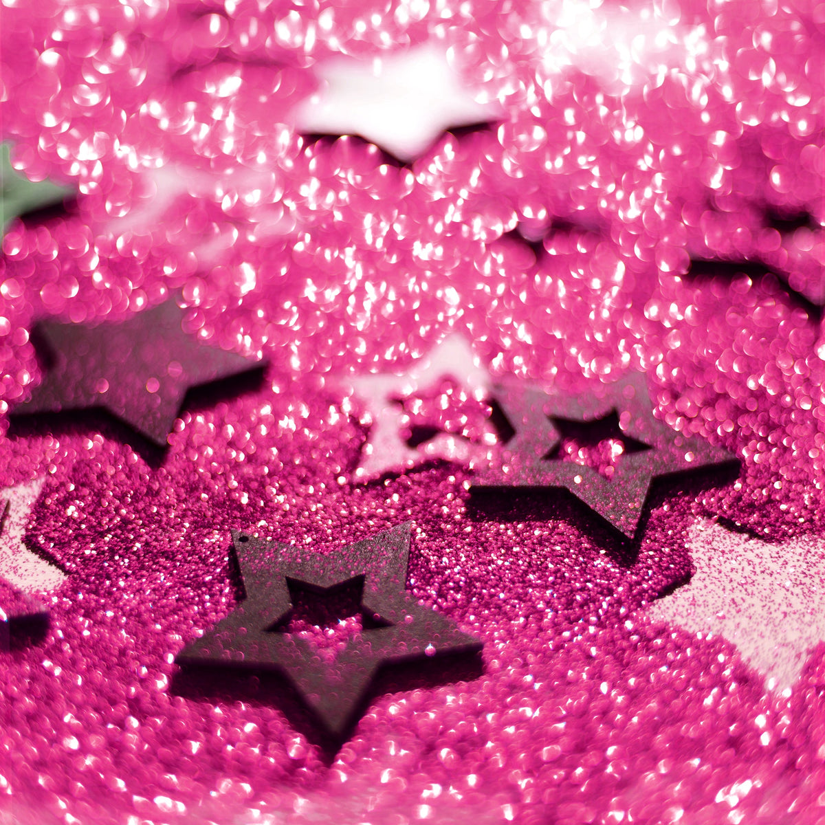 Fine Craft Glitter 1 LB Bottle - Fuchsia