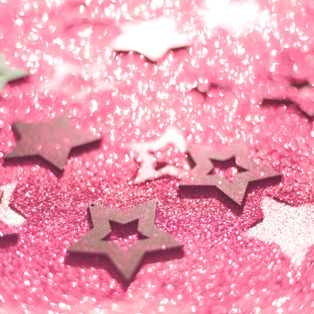 Fine Craft Glitter 1 LB Bottle - Pink