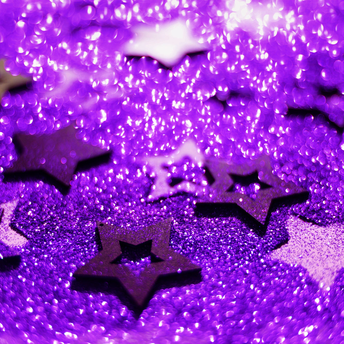 Fine Craft Glitter 1 LB Bottle - Purple