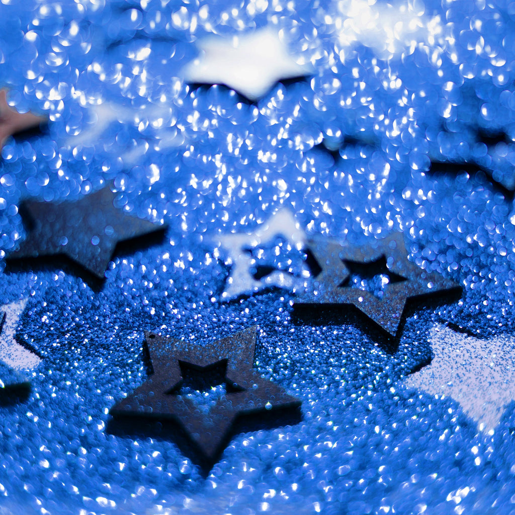 Fine Craft Glitter 1 LB Bottle - Royal Blue