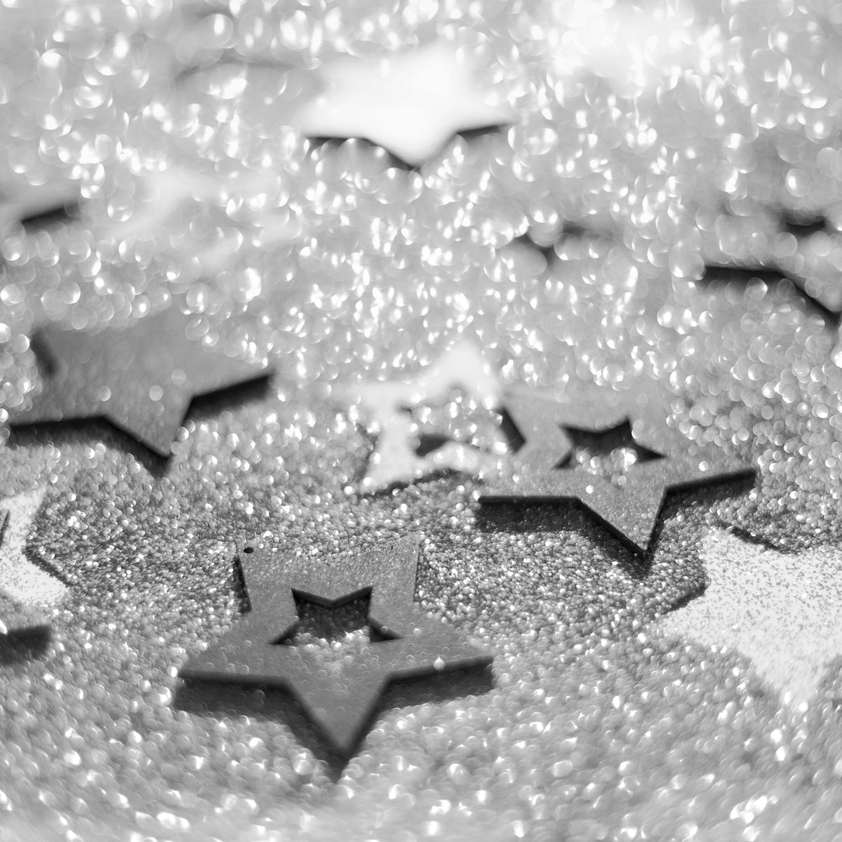 Fine Craft Glitter 1 LB Bottle - Silver