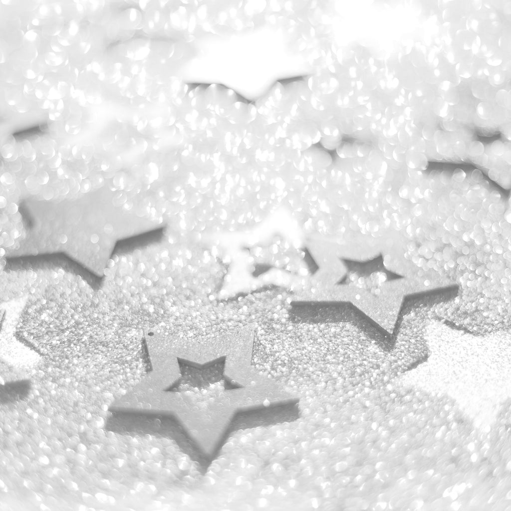 Fine Craft Glitter 1 LB Bottle - White