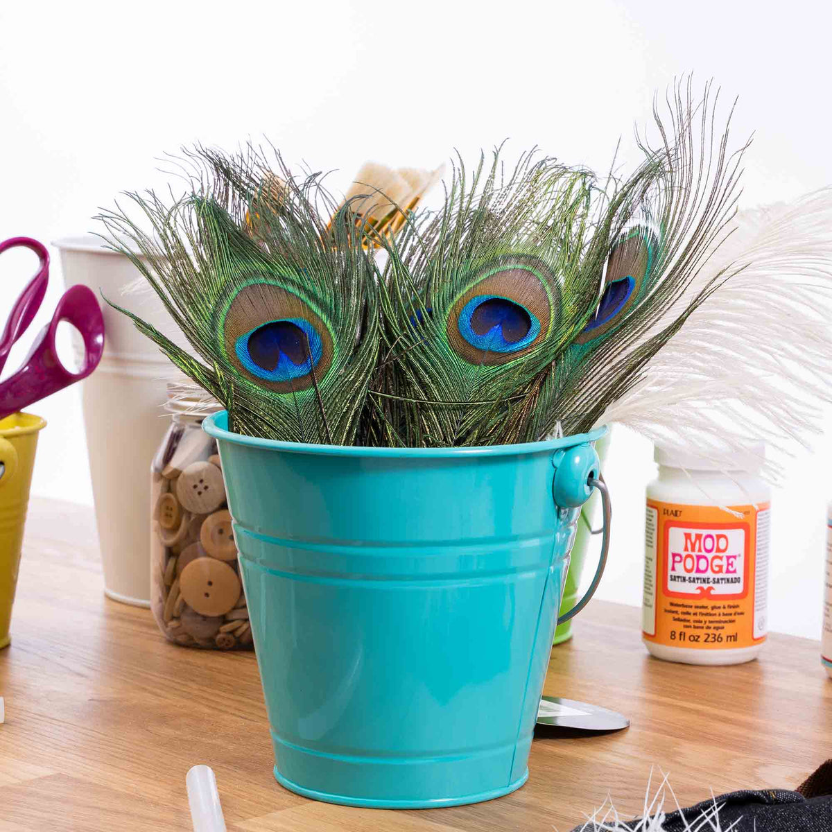 Peacock Feathers 35" - Pack of 25