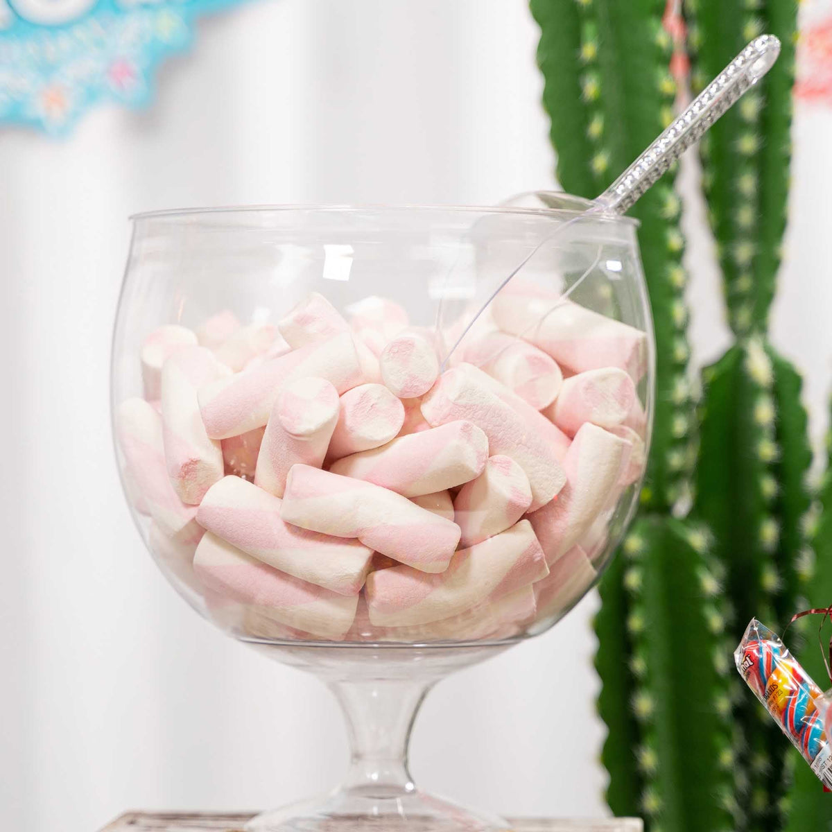 Economy Plastic Candy Scoop