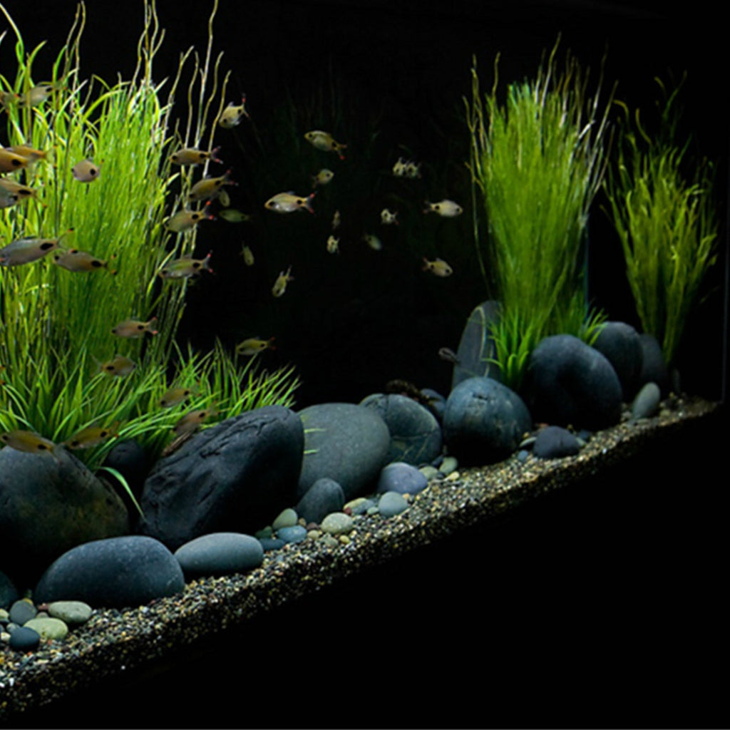 River Rocks - 2.2 LB Bag