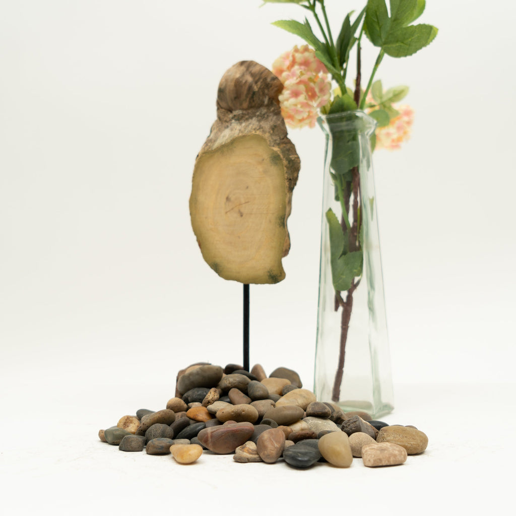 River Rocks - 2.2 LB Bag
