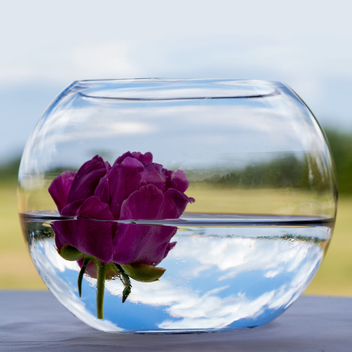 Glass Fishbowl 9" Wide x 8" Tall