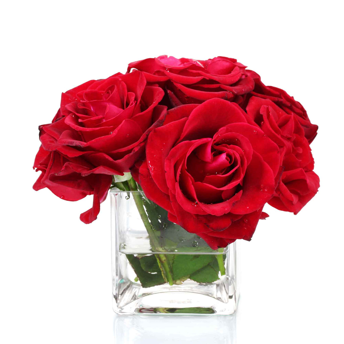 Glass Floral Cubes - 6" x 6"