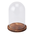Glass Dome with Wood Base