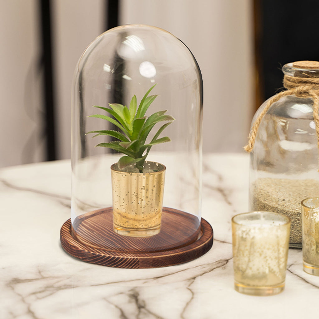 Glass Dome with Wood Base