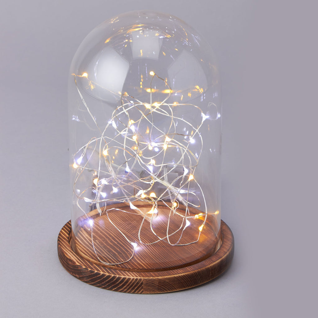 Glass Dome with Wood Base
