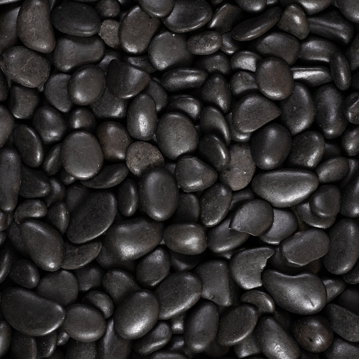 Black Pebbles - 2.5 LB. Bag