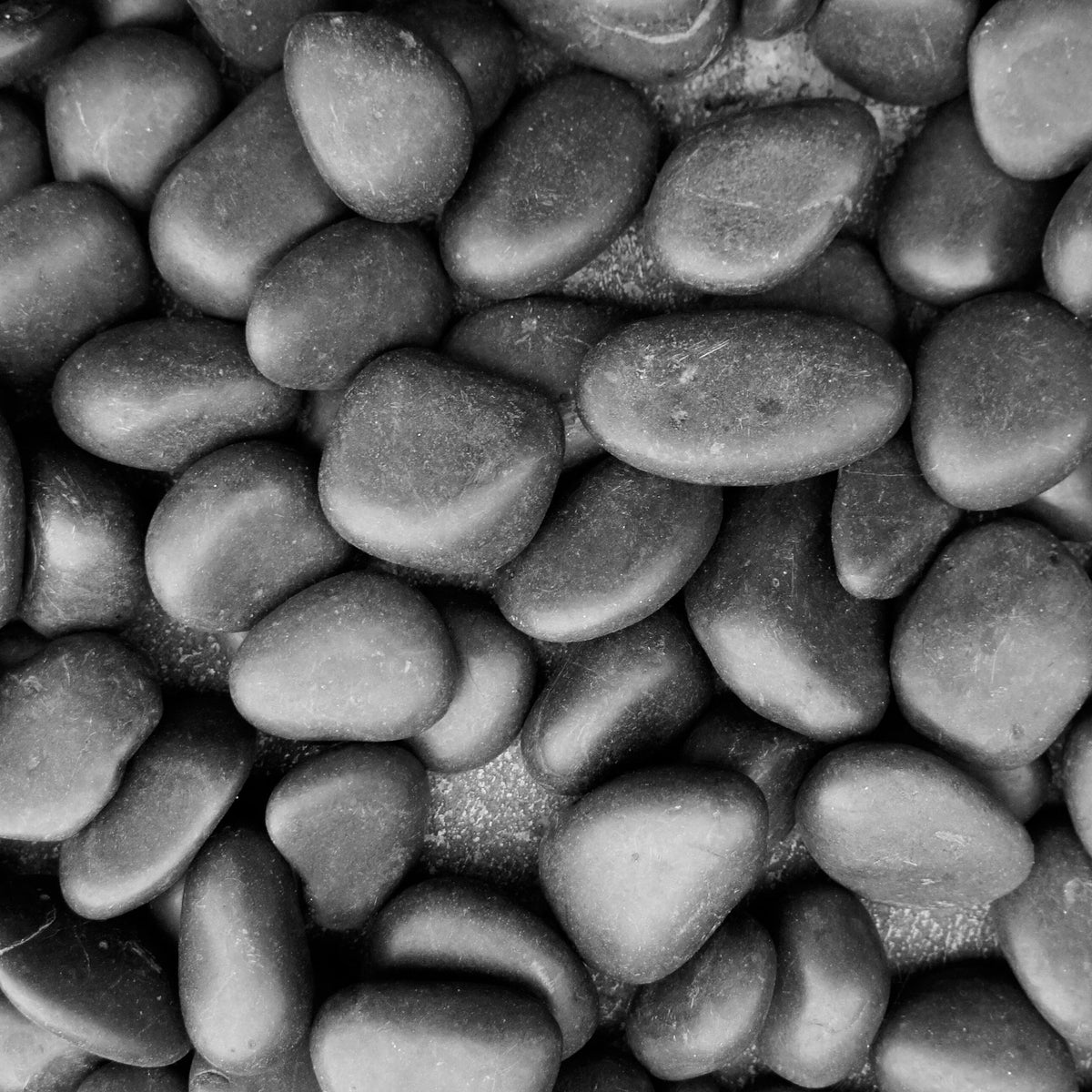 Large Black Pebbles - 2.5 lb. bag