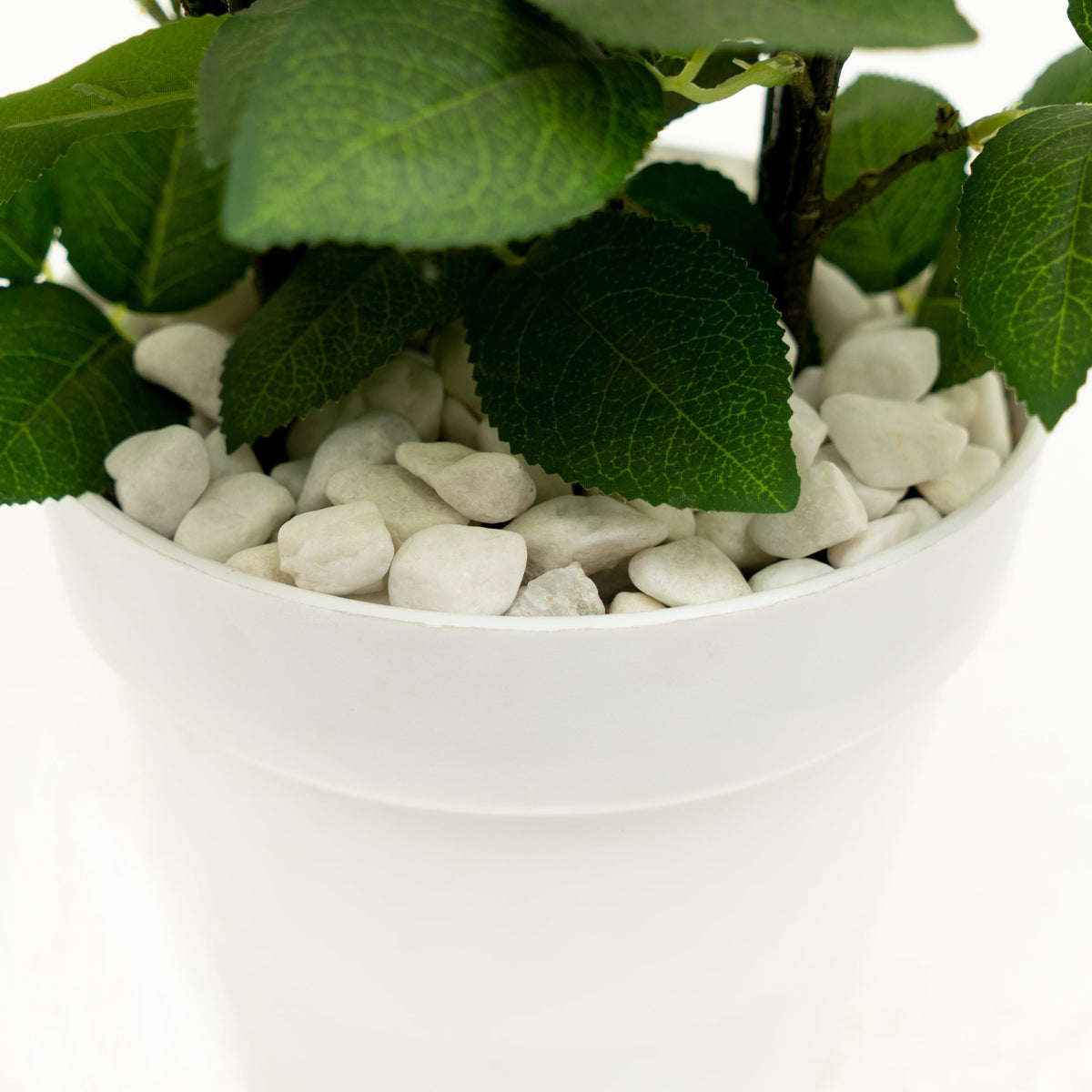 White Pebbles - 2.5 LB. Bag
