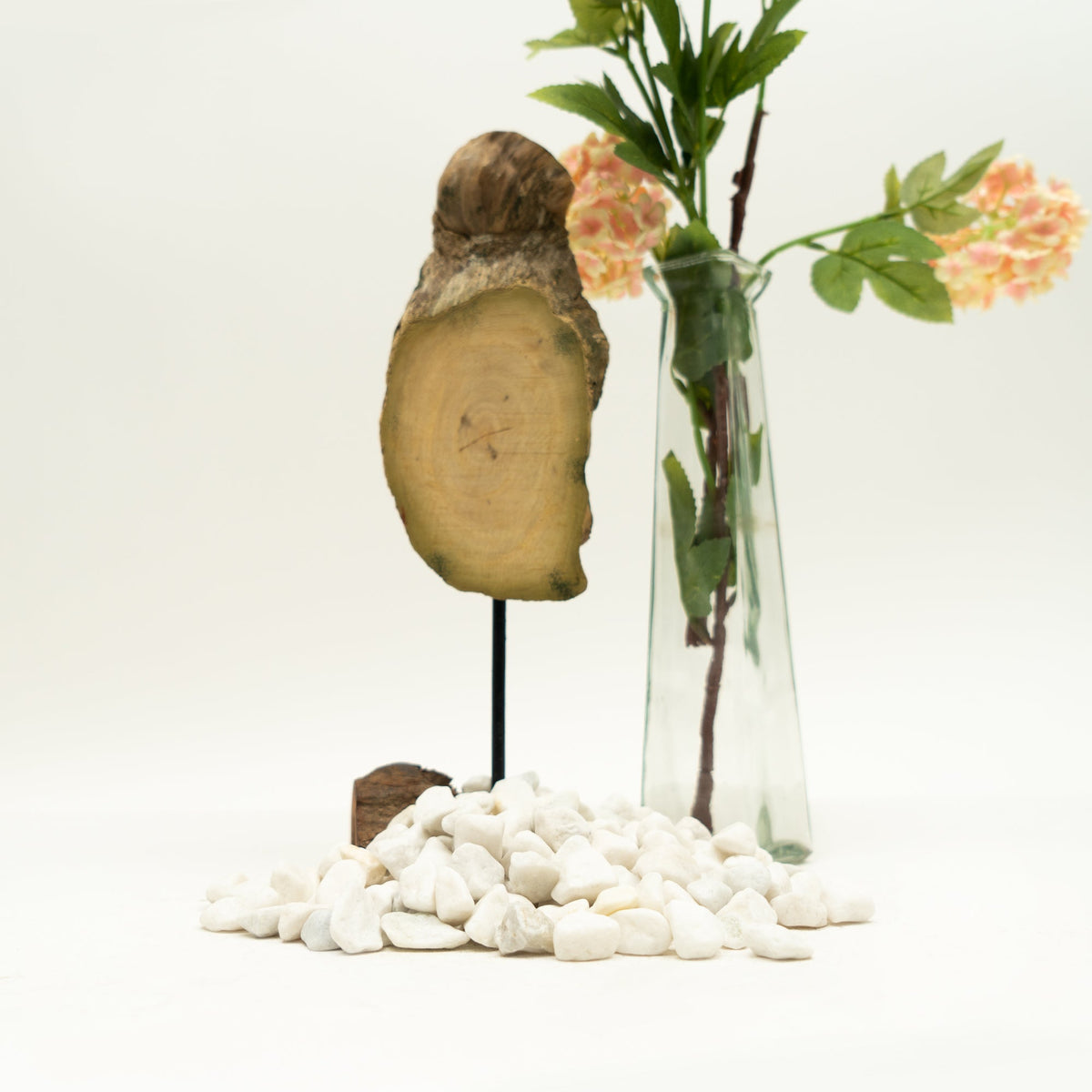 White Pebbles - 2.5 LB. Bag