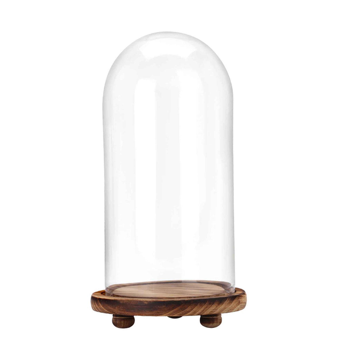 Glass Dome with Wood Base