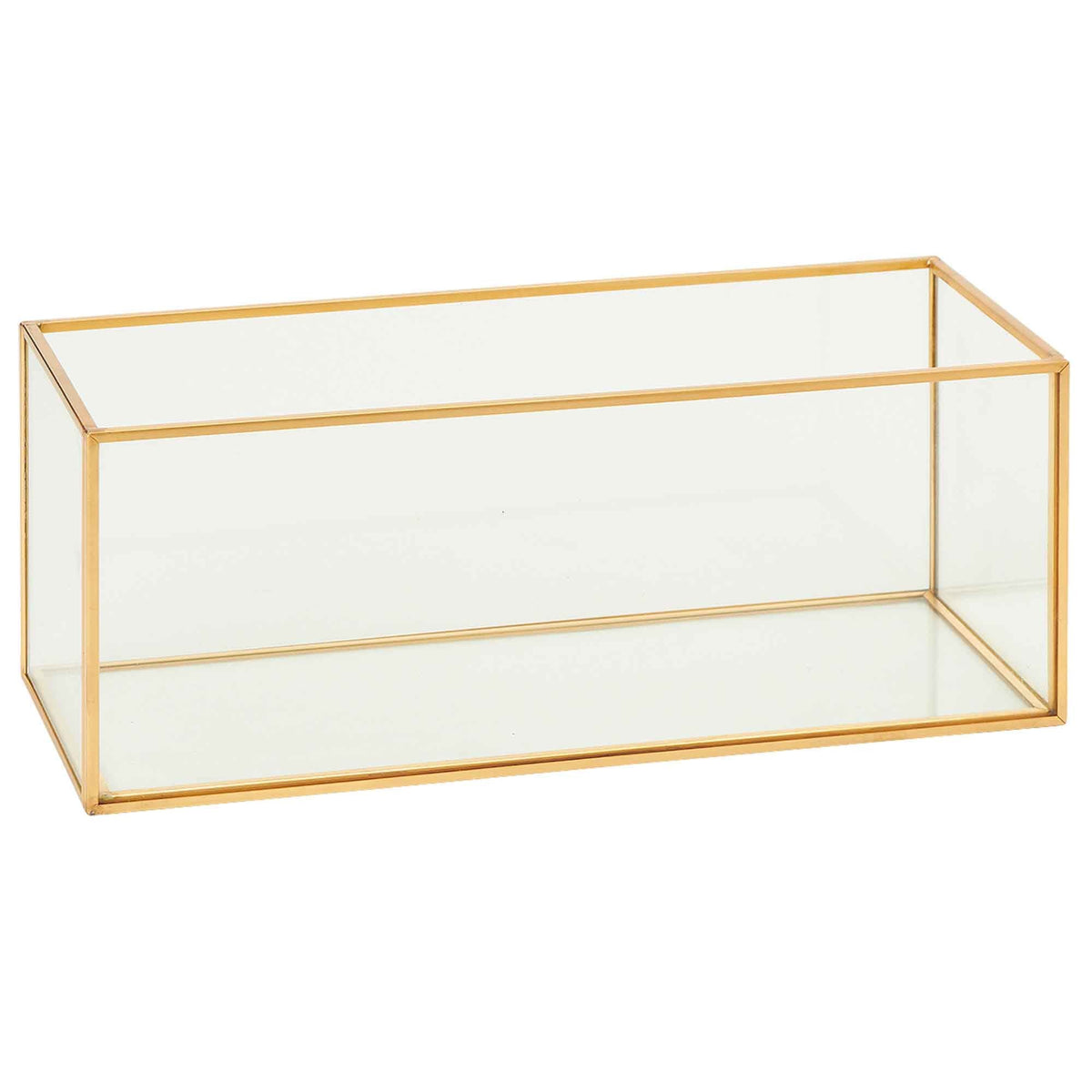 Rectangular Terrarium Display