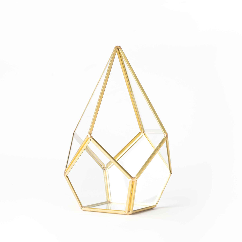 Geometric Terrarium Display 3pc Set