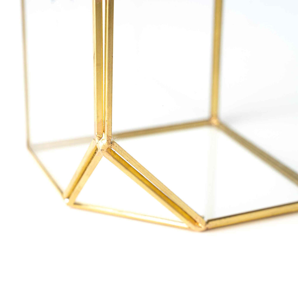 Geometric Terrarium Display 3pc Set