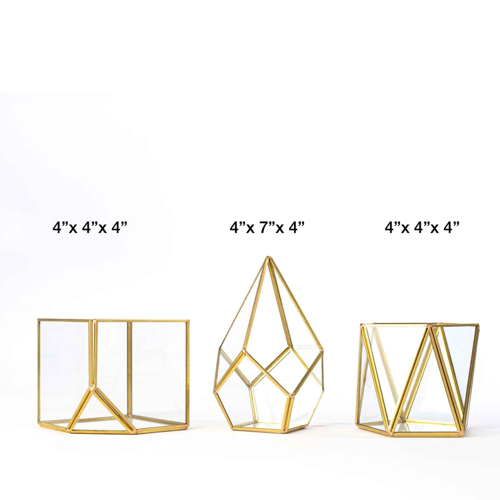Geometric Terrarium Display 3pc Set