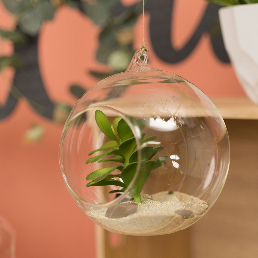 Hanging Glass Terrarium 3.5" - Set of 12