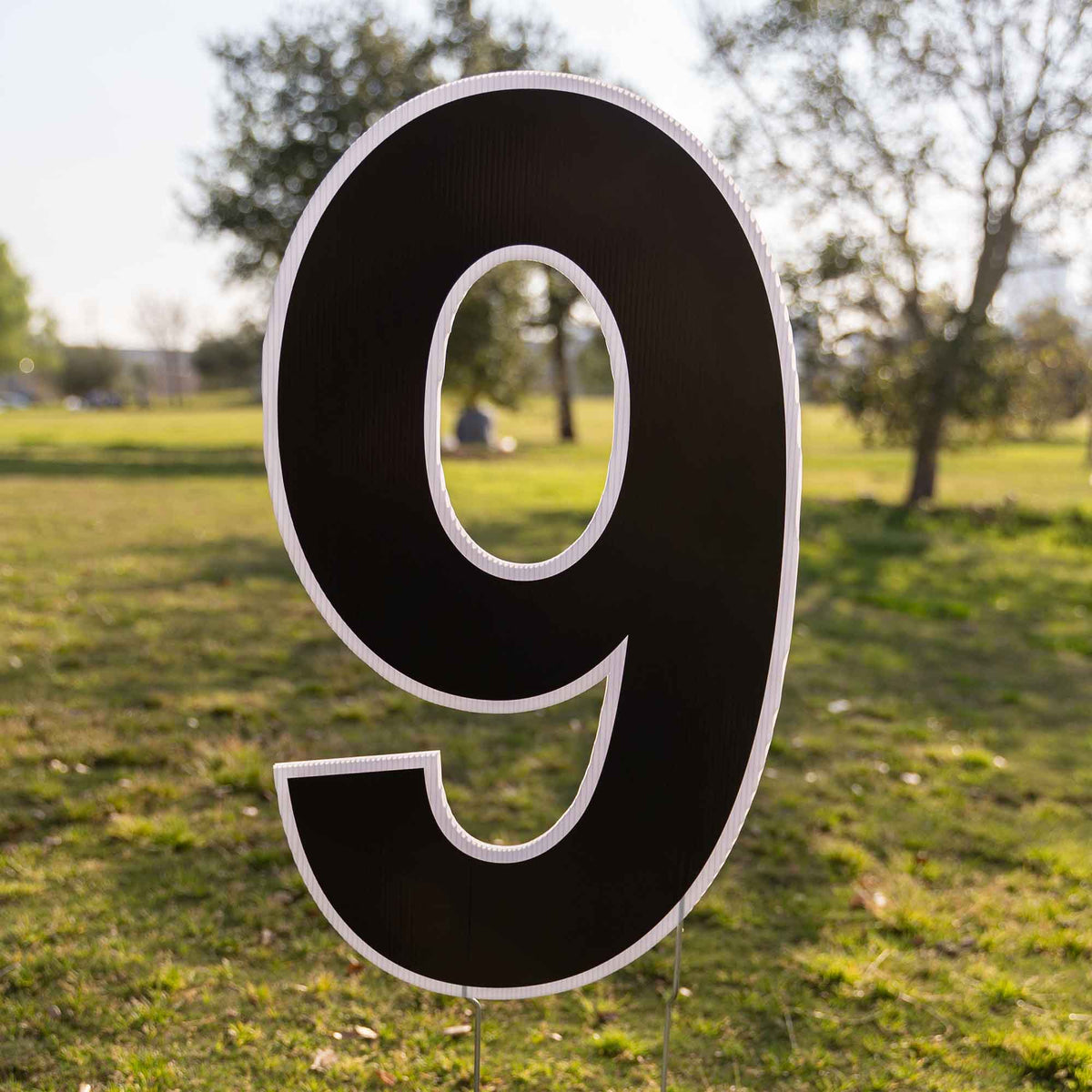 Yard Sign Number 9